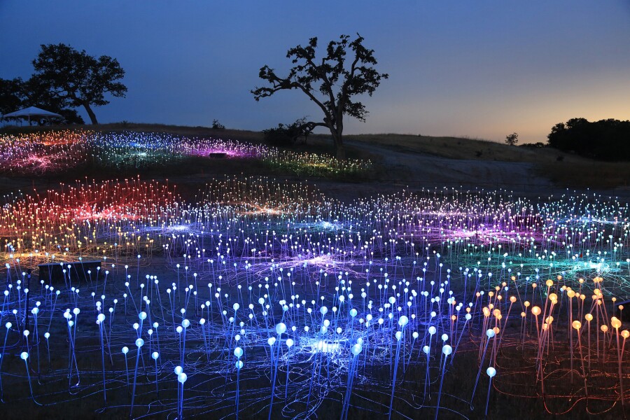 raspberrypg | Attending the Field of Light Art Installation at Night