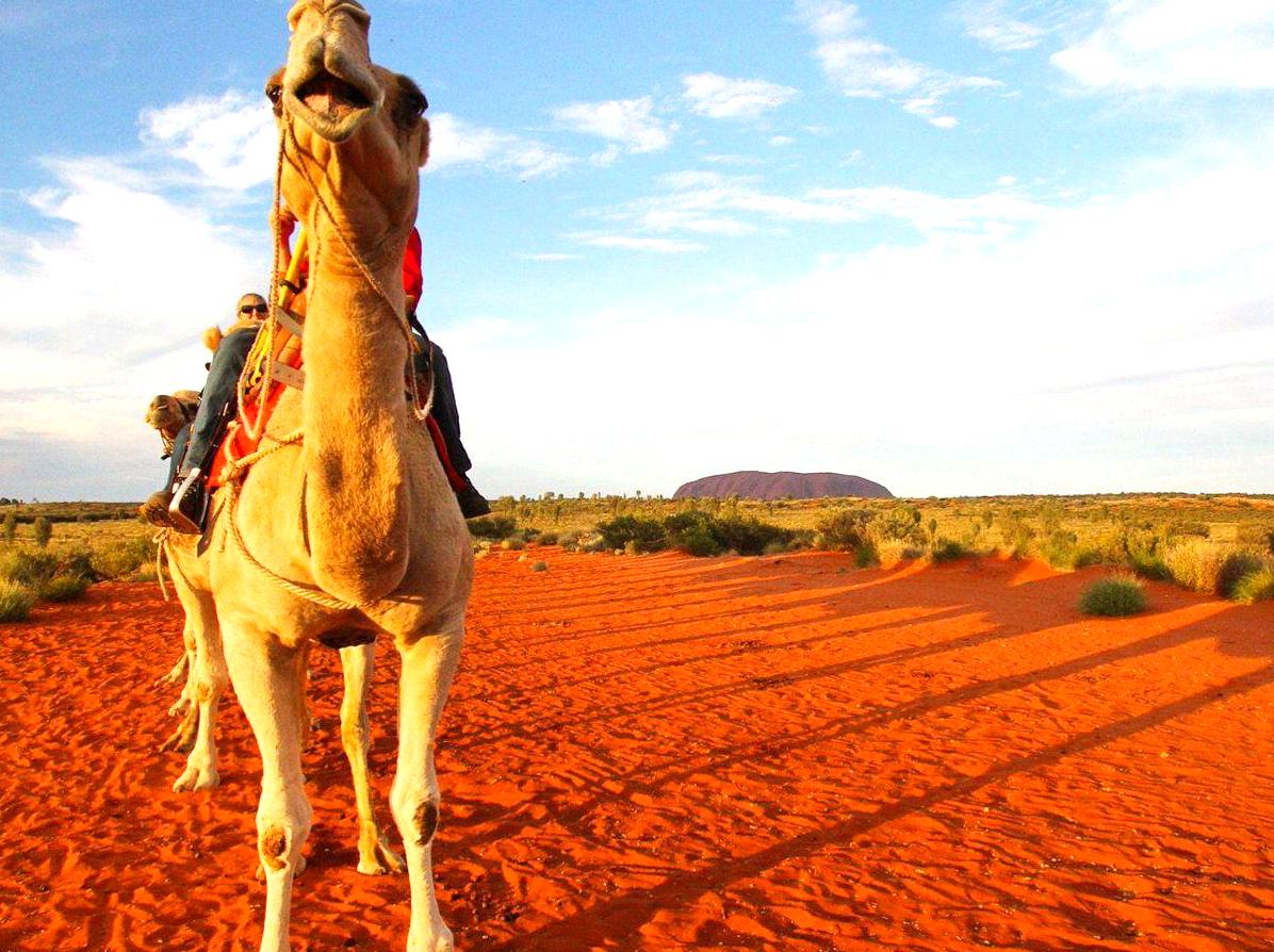 raspberrypg | Enjoying a Sunset Camel Ride Across the Desert