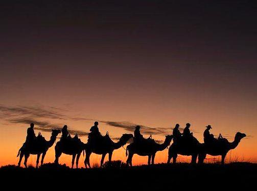 raspberrypg | Enjoying a Sunset Camel Ride Across the Desert