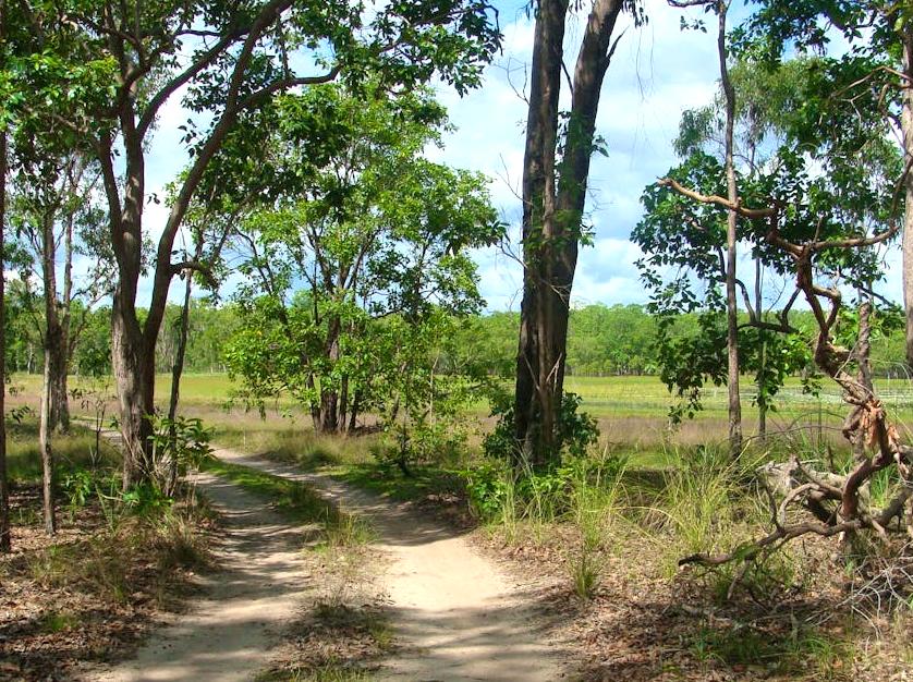 raspberrypg | Djukbinj National Park Boundary: Kakadu's Protected Zones