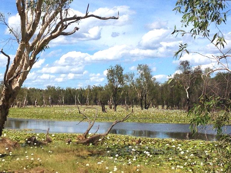 raspberrypg | Sandy Billabong Junction: Tranquil Scenes in Kakadu