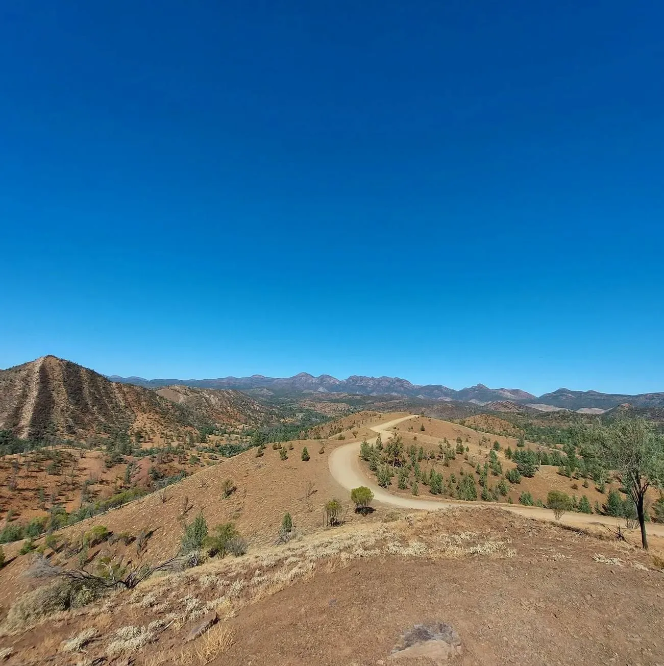 Razorback Ridge